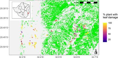 Forest Proximity Positively Affects Natural Enemy Mediated Control of Fall Armyworm in Southern Africa